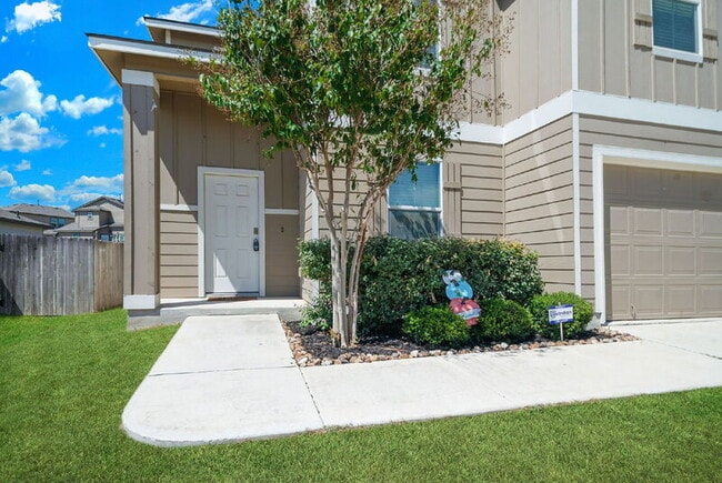 Photo - 14715 Harlequin Duck