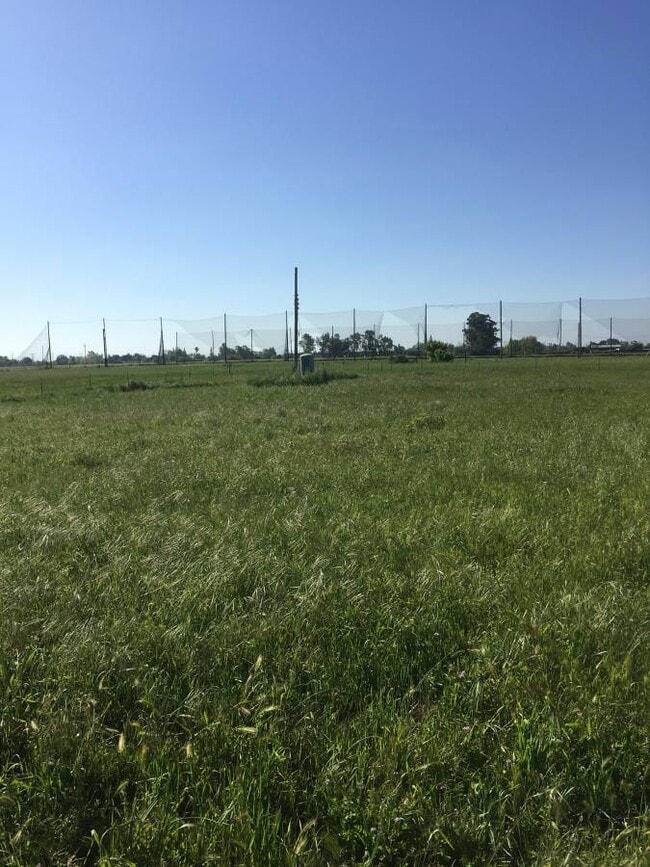 Photo - 7271 Elk Grove Florin Rd