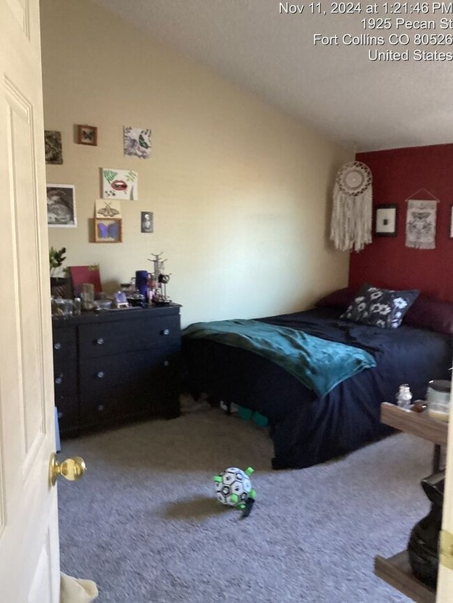 Photo - Recently Upgraded 2 Bedroom Apt Near Horsetooth!