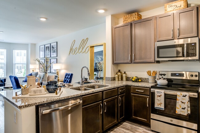 Photo - Allure Apollo