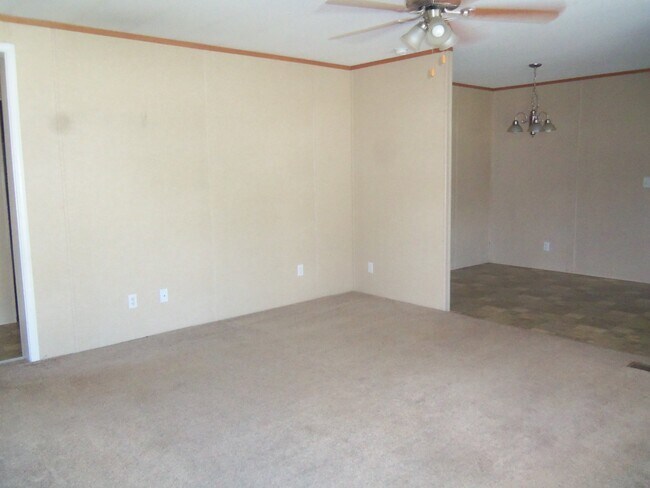 Photo - 193 Zackary St