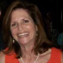 Primary Contact Photo