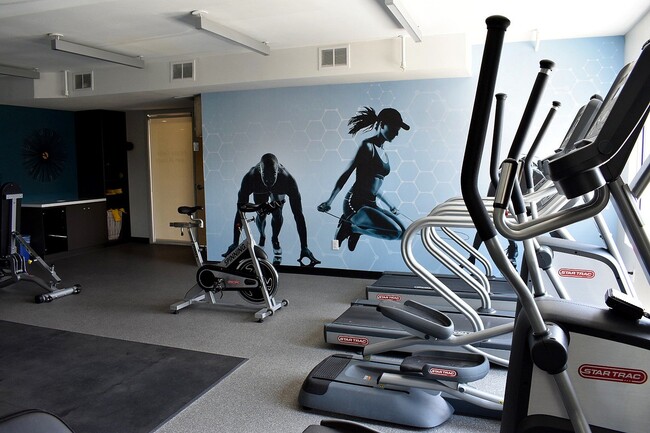 Sweat, Sculpt, Repeat - LoHi Gold