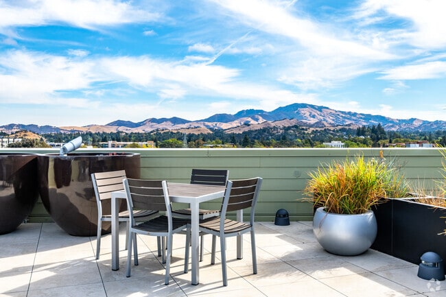 Rooftop Deck