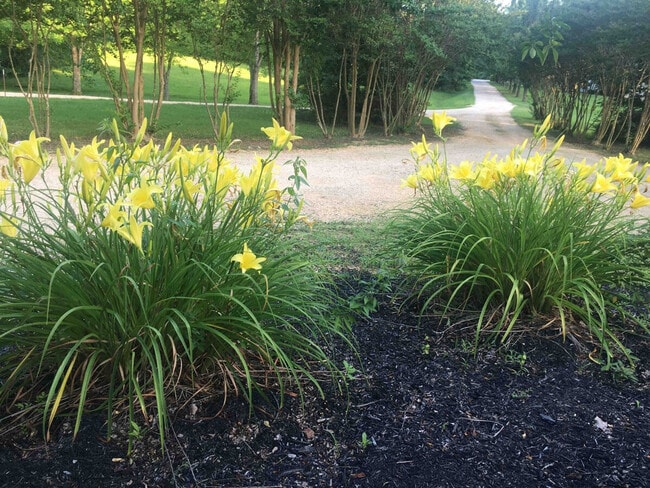 Photo - 175 Laveta Ln Unidad ID1343305P