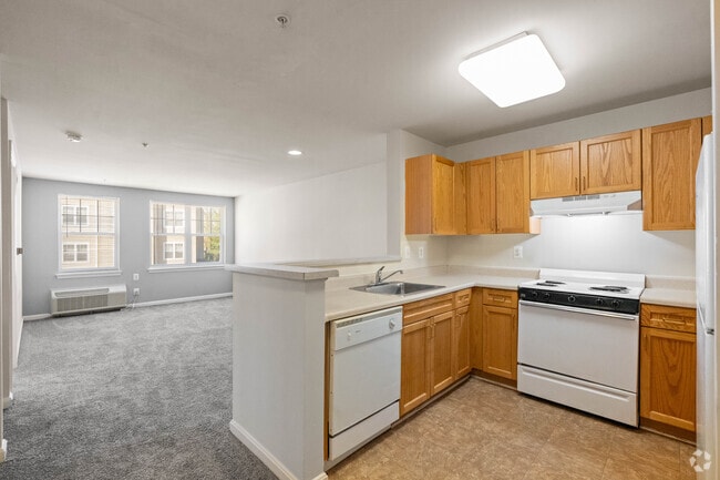1BR, 1BA - 641SF - Living Room