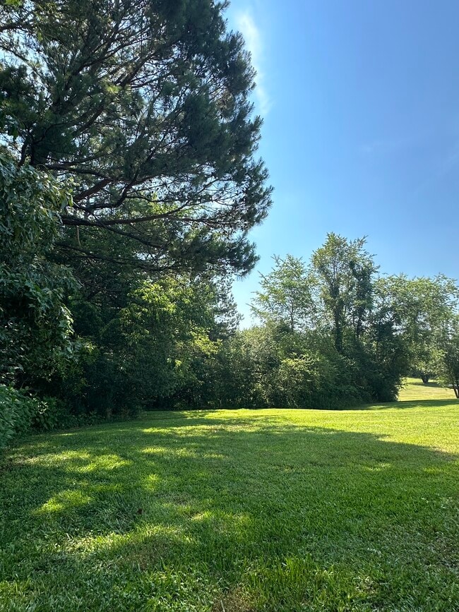 Building Photo - 652 Rices Creek Rd