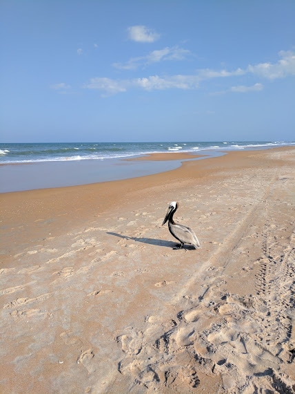 Photo - 1732 Ocean Shore Blvd Unit 15