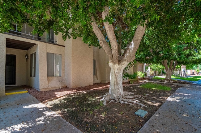 Photo - 2240 S Elks Ln Unit 6