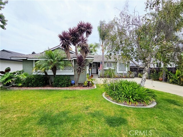 Building Photo - 3111 Petaluma Ave