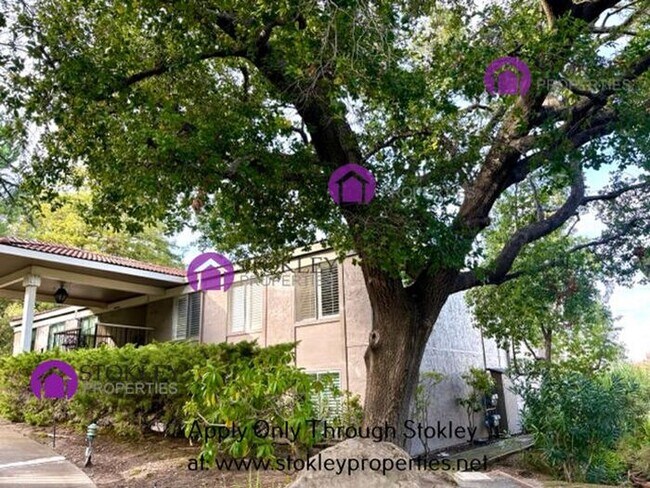 Building Photo - 3125 Terra Granada Dr Unit APT 4