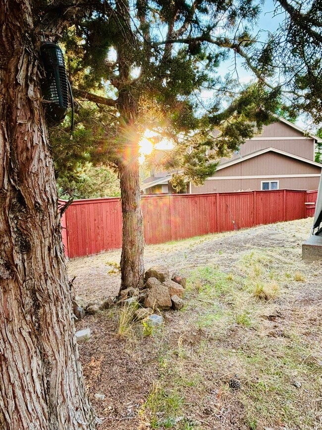Photo - 61208 Brittle Bush St