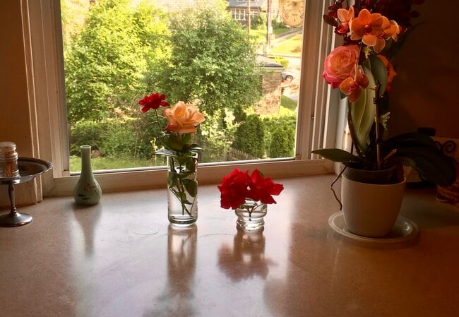 Photo - 5463 Fair Oaks St