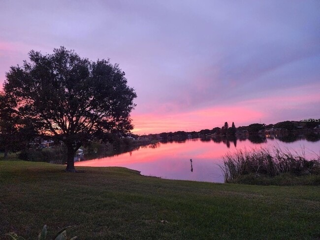 Photo - 8211 118th Ave N