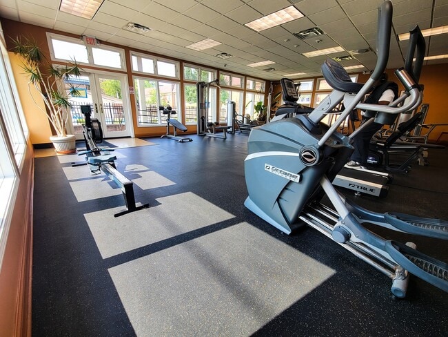 Exercise Equipment