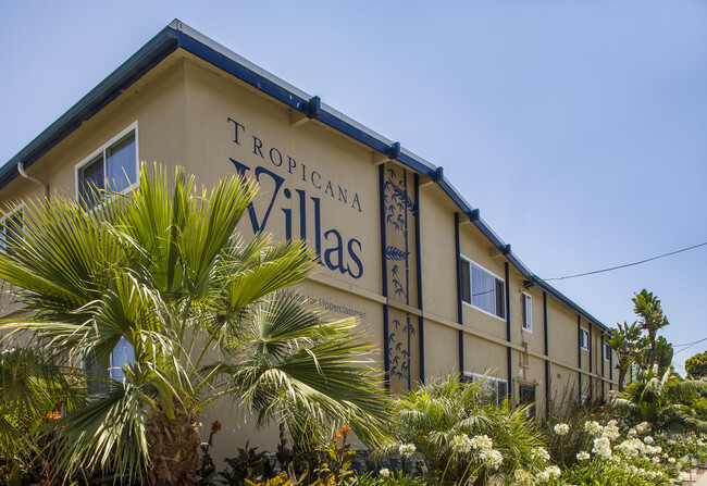 Building Photo - Tropicana Student Housing Rental