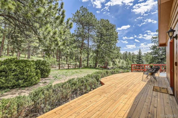 Photo - Ponderosa