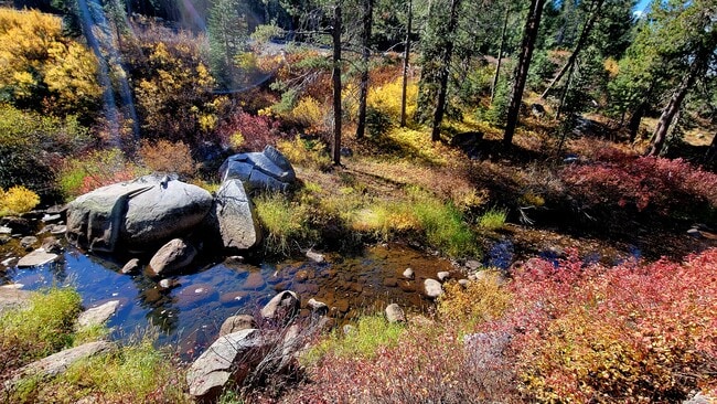 River Frontage - 21719 Donner Pass Rd Unit 1