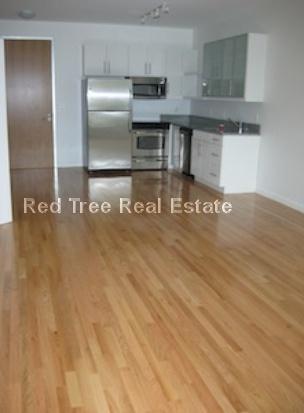 Building Photo - 30 Caldwell St Unit 208 Rental