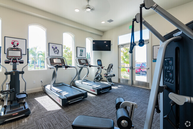 24 Hour Fitness Studio