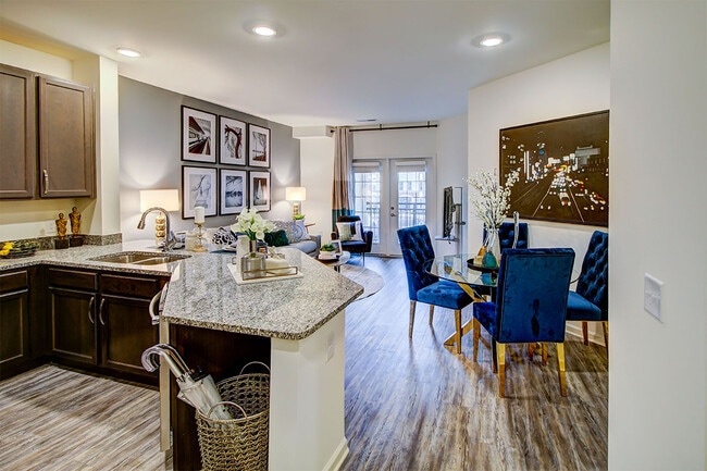 Photo - Allure Apollo