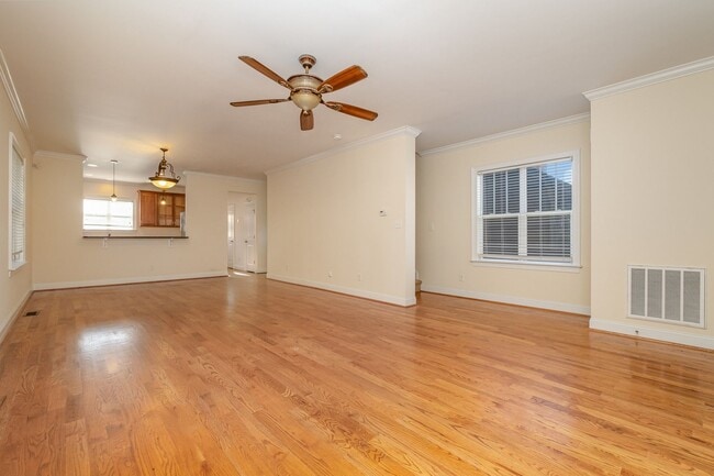 Photo - AVAILABLE TO SHOW!