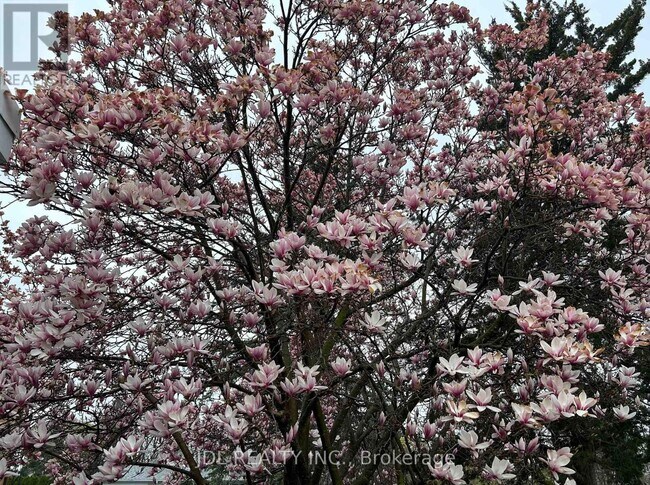 Photo - 23 Pineway Blvd