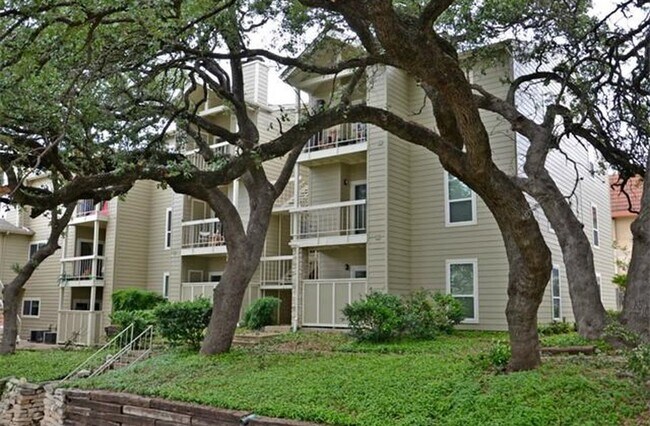 Building Photo - K582 - Hyde Park Oaks #303 Unit 303 HPO