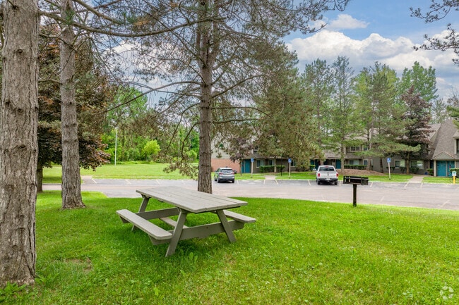 Picnic Area