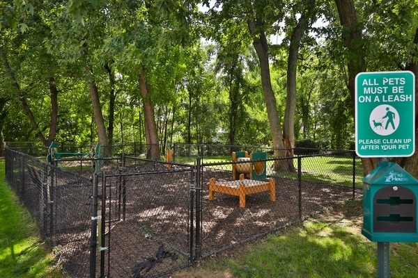 Dog Park