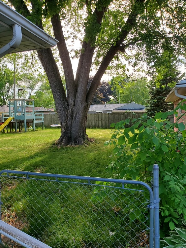 Photo - 1163 Higgins Ave