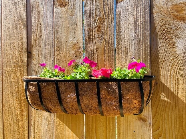 Photo - 706 Cirrus Ln