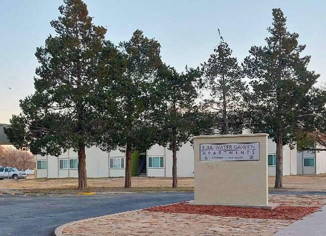 Photo - Blue Water Garden