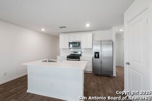 Photo - 15203 Sacred Ibis