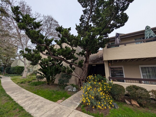Building Photo - 3 bed / 2 bah Condo. Hardwood floor, forced heat, lots of HOA amenities