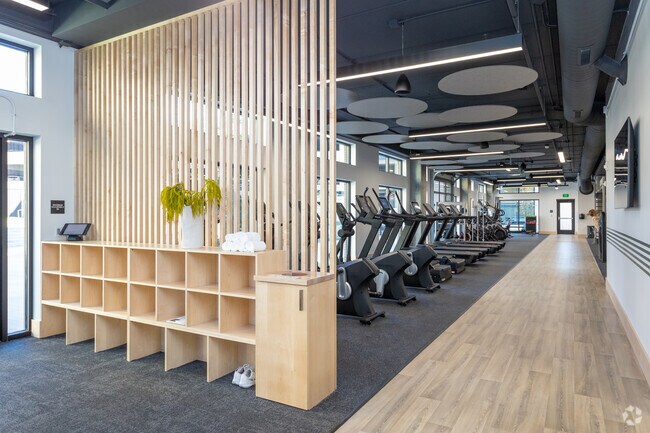 Gimnasio