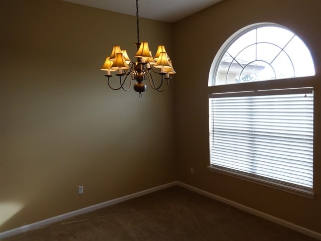 Photo - 11905 Pikeville Ct