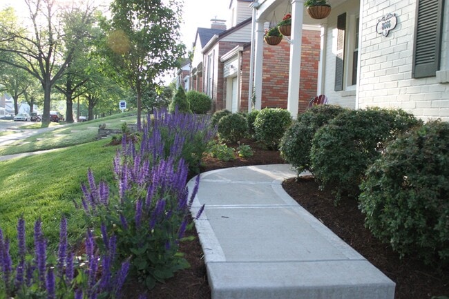 Sidewalk from driveway - 8666 Rosalie Ave