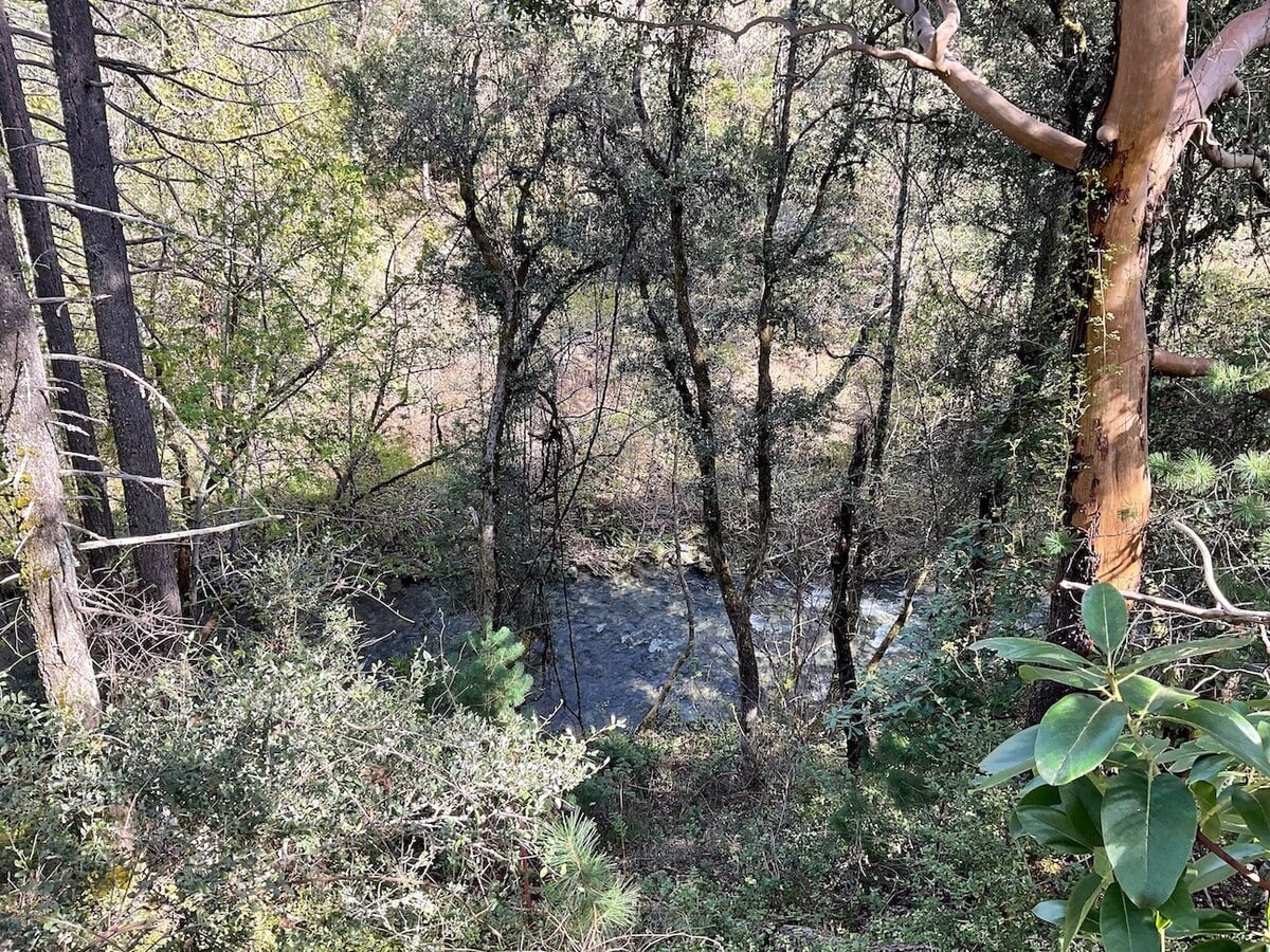 Photo - 439 Canyon Oak Dr