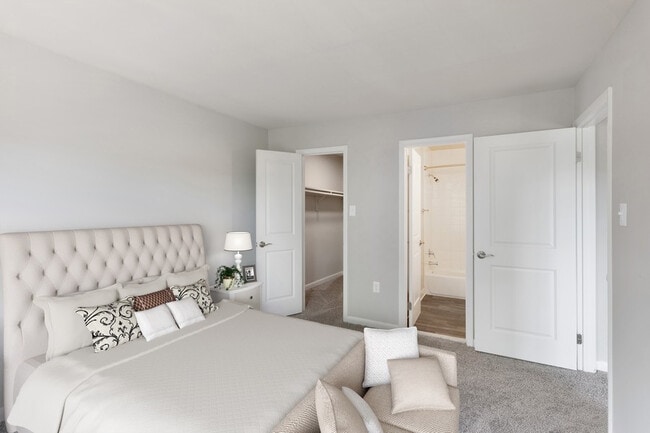 Photo - Brightwood Forest