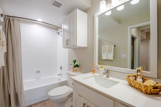 Newly Renovated Bathroom