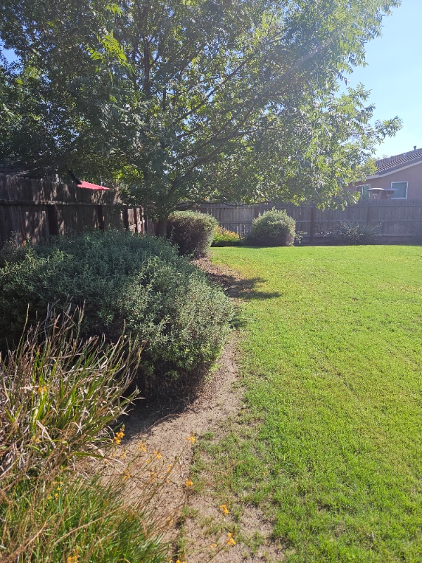 Photo - 2908 S Oakhurst Ct