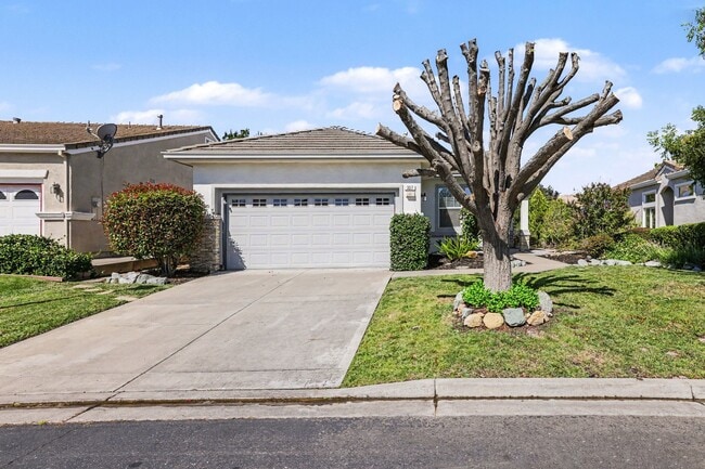 Building Photo - 337 Upton Pyne Dr
