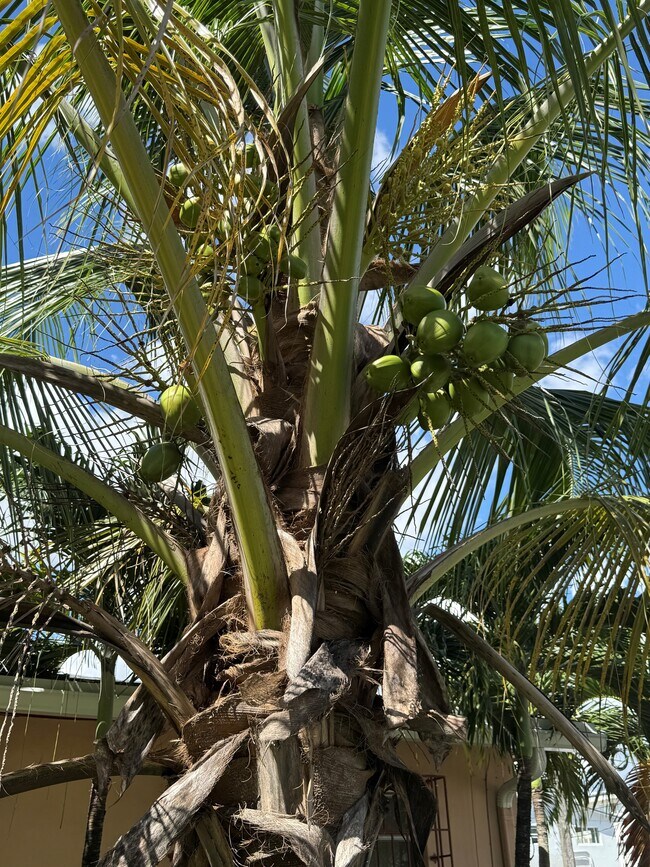 Photo - 662 NE 132nd St Unit Beautiful 3 Bed 2 Bath