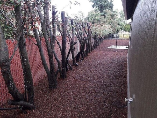 Photo - 201 La Casa St