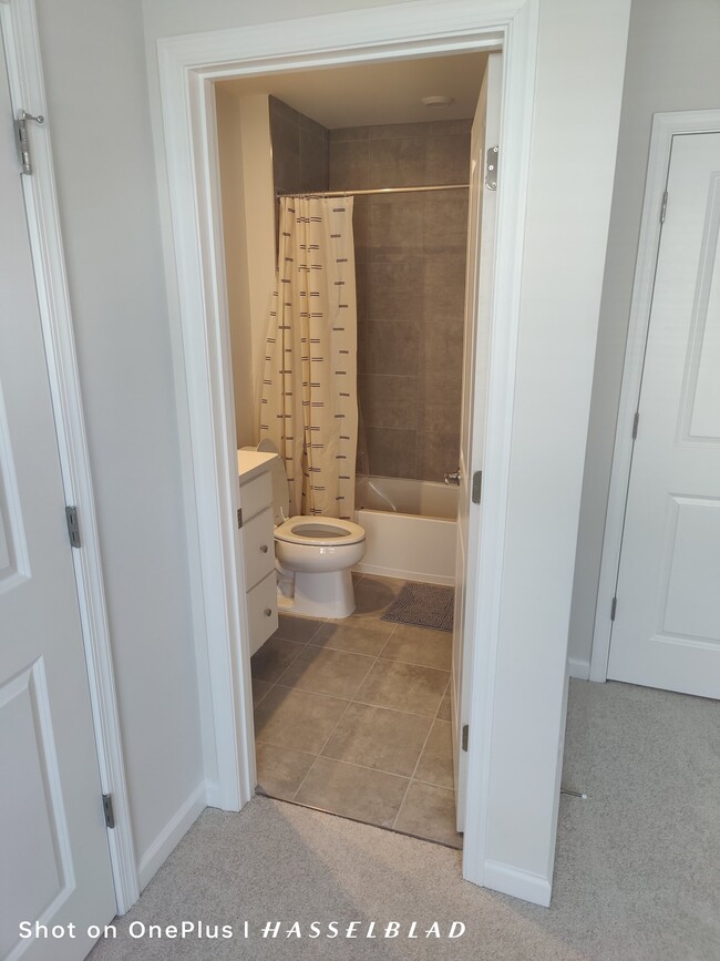 Photo - 3418 Chester Aly