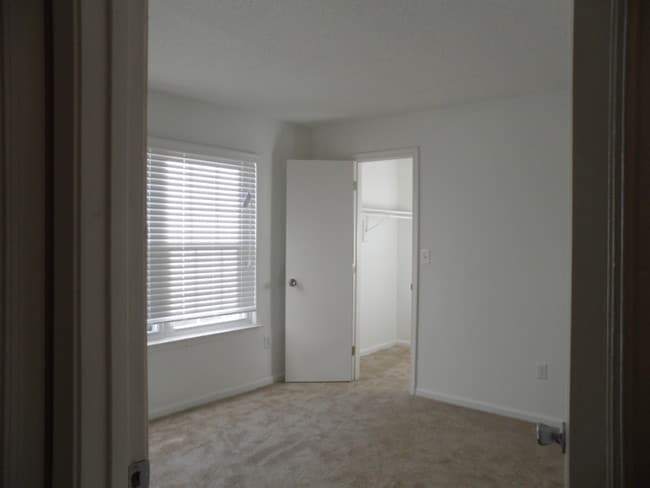 Photo - Churchland Forest