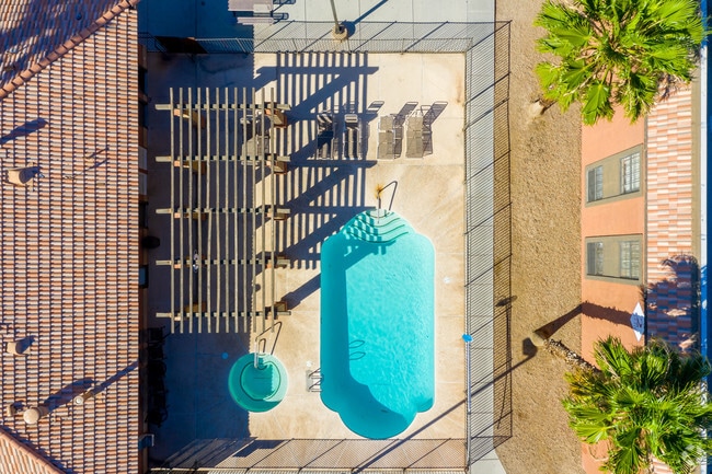 Área de piscina - Saratoga Palms