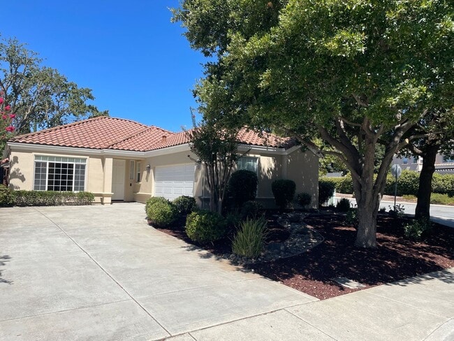1020 White Cloud Dr