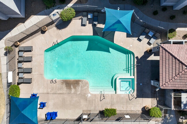 Pool - Ventana Palms